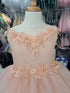 Little Girls Blush Illusion Neckline Floral Applique Glitter Tulle Dress 2-6 - SophiasStyle.com